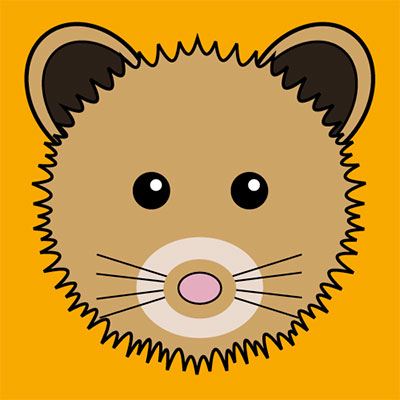Pika