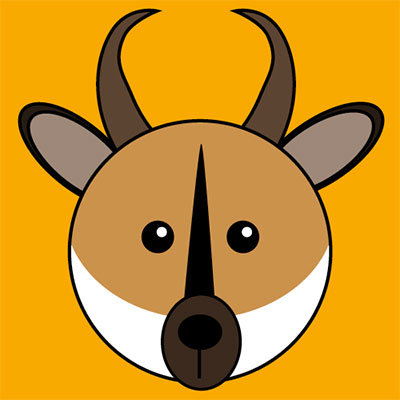  Pronghorn 