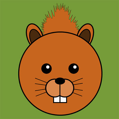Red Squirrel