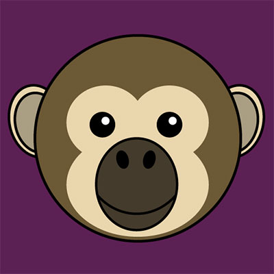 Spider Monkey