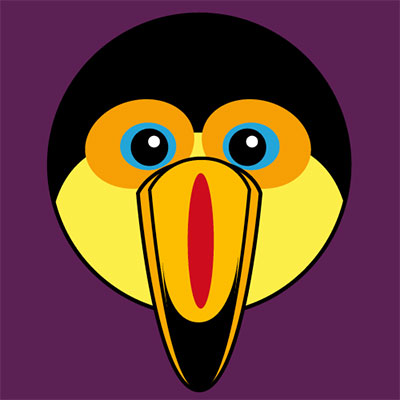 Toucan