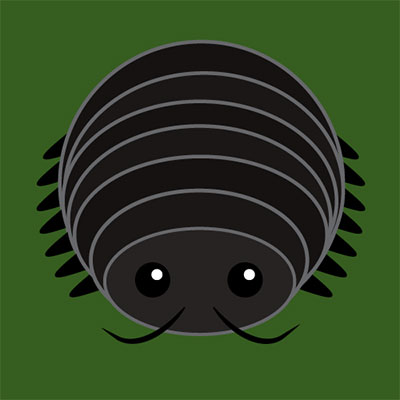 Woodlouse