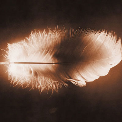 Feather 