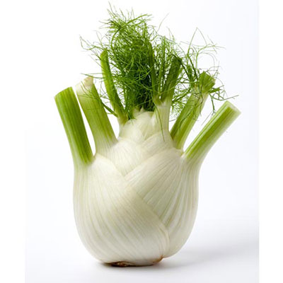 Fennel