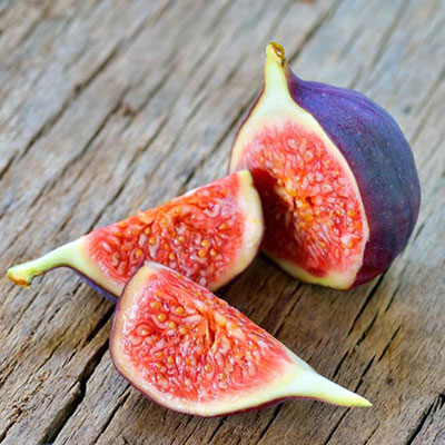  Fig 