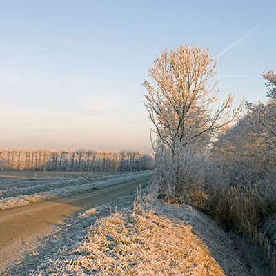 Hoarfrost