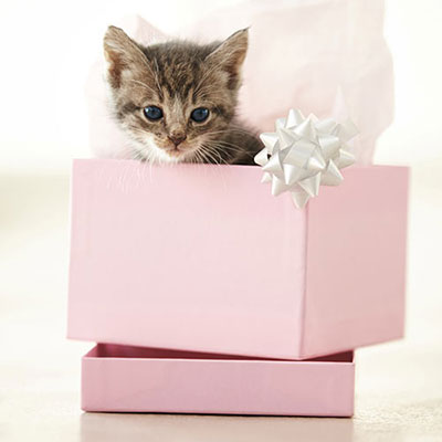 Present