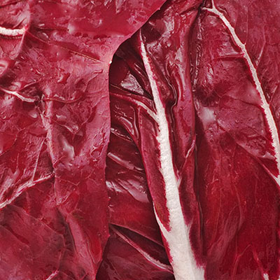 Radicchio