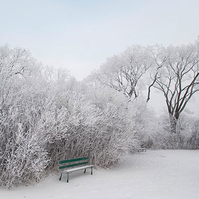 Snowy