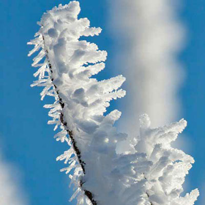  Crystals 