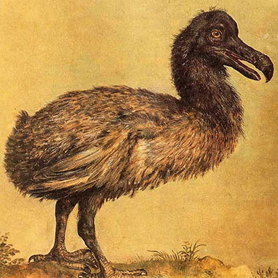  Extinct 
