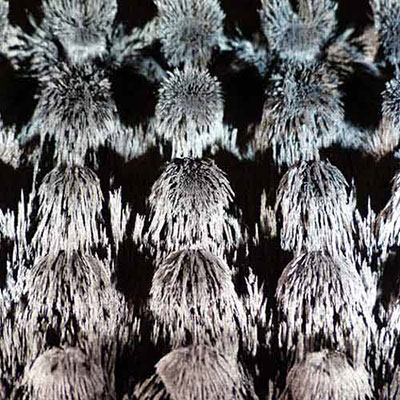 Iron Filings