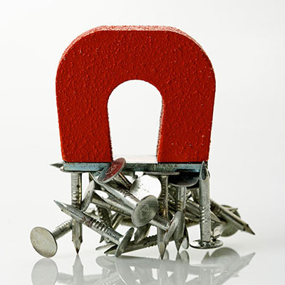 Magnet