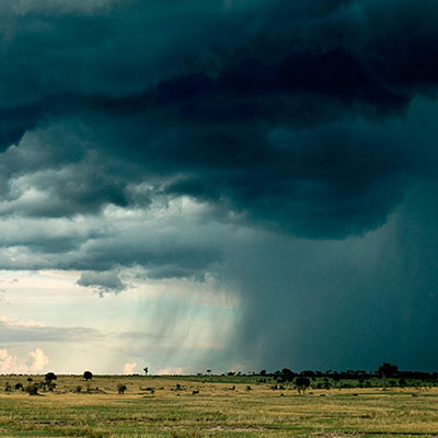  Rain Cloud 