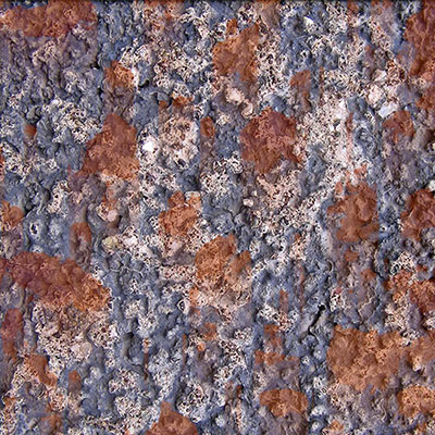 Rust