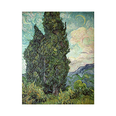Cypresses