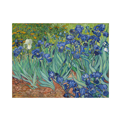 Irises