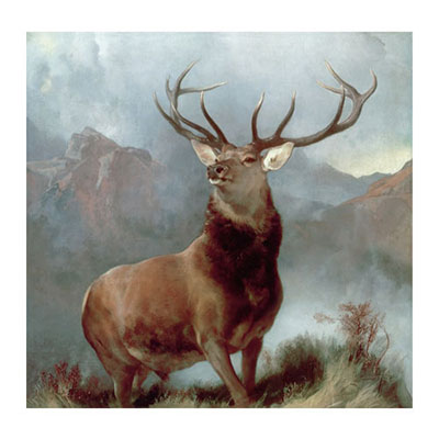 Landseer
