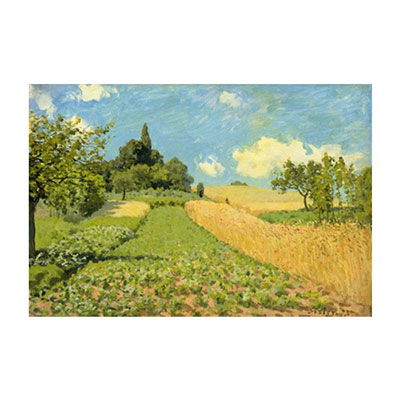The Cornfield