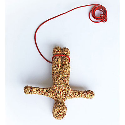 Bird Feeder