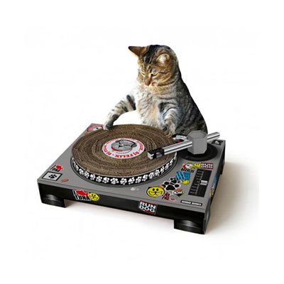 Cat Scratch