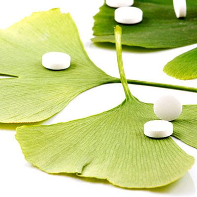 Ginkgo Biloba