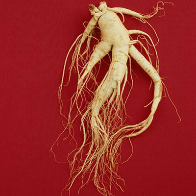  Ginseng 