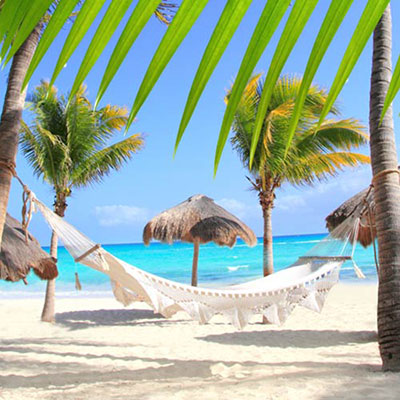 Hammock