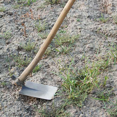  Hoe 