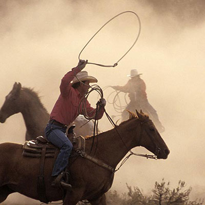 Lasso