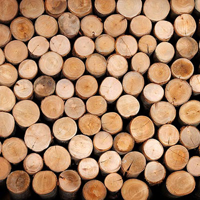 Logs