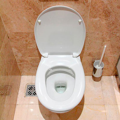 Loo