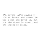  The Fly 