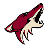  Phoenix Coyotes 