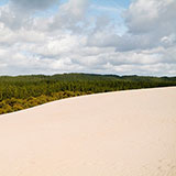  Dune 