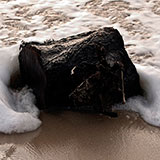  Flotsam 