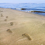  Footprints 