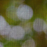  Mosquito Net 