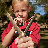  Slingshot 
