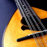  Mandolin 