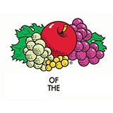  Fruit Of The Loom 