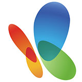  Msn 