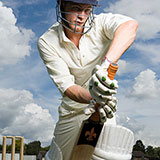  Cricket 