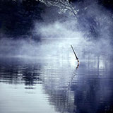  Excalibur 