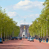  The Mall 