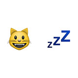  Cat Nap 