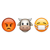  Mad Cow Disease 