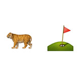  Tiger Woods 