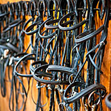  Bridle 