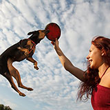  Frisbee 